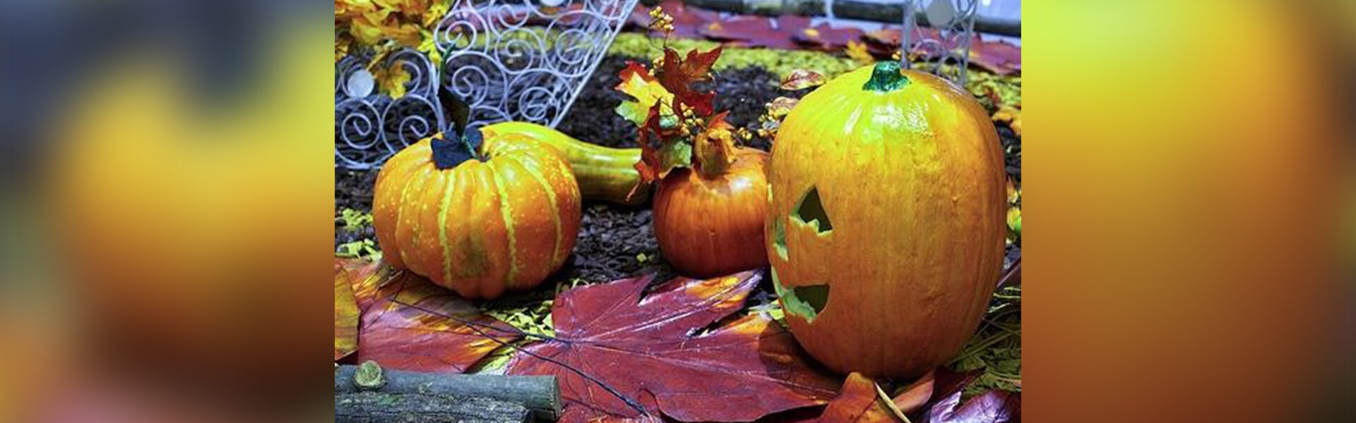 Halloween: Candy, costumes, and more!