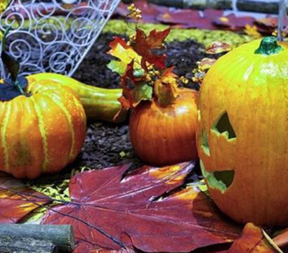 Halloween: Candy, costumes, and more!